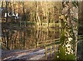 Nesting box with lake view, Yarner Wood