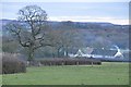 Mid Devon : Grassy Field