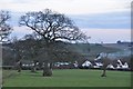 Mid Devon : Grassy Field