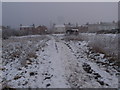 Woodford, a view from the allotment gardens