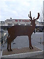 Stag at Wimbledon Station