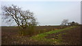 Fields near Winwick