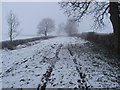 Wide green track heading north past Islip Lodge