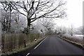 Icy trees by the Toddington Road