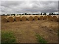 Round bales, Guildtown