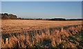 Fields near Kinloss