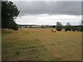 Harvested field, Blindwells