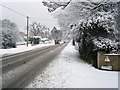 A31 snowy morning