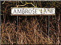 TL1215 : Ambrose Lane sign by Geographer