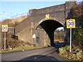 TL1217 : Thrales End Lane Railway Bridge by Geographer