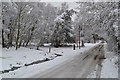 SU3018 : Blackhill Road in the snow by David Martin
