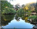 Ashton Gardens lake