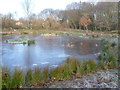 The pond in Parish Wood Park