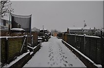 SS9612 : Tiverton : Small Lane by Lewis Clarke