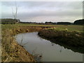 The River Evenlode in Oxfordshire