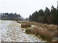 Bridleway from Dotland to Yarridge Lane