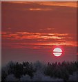 SE3903 : Yet another Dearne Valley sunrise by Steve  Fareham