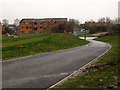 New path through Bridge House Meadows (4)