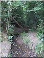 Jarvis Brook in Jarvis Brook Country Park (3)