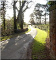 Road from Boughspring to Tidenham