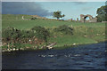 N8056 : Trim, county Meath: River Boyne and ruined gateway by Christopher Hilton