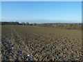 High Weald Landscape Trail crossing field