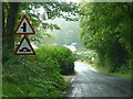 Beware wild fowl under hump bridge