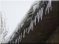 Corscombe: High Street icicles