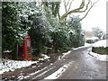 West Chelborough: the telephone box