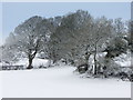 A wintry scene near St Nicholas