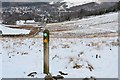 NT2438 : Path down to Peebles, Cademuir Hill by Jim Barton