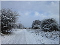 The former Withernsea railway line