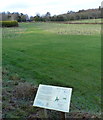 New trees at Swithland Woods Farm