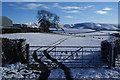 Gate and fields at Rhydfaes