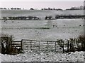 Footpath Over Grimsargh Grassland