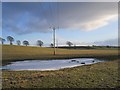 Frozen ground, Eastwood