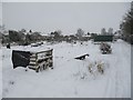 Empty allotments