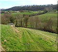 Track from Slad Road to Slad Brook, Stroud