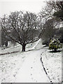 Linton Gardens in snow