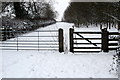 Gate on the bridleway