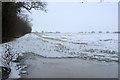 Mature hedge by an icy field