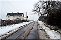 Adstock Cattery at Pear Tree Hill Farm