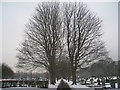 Avenue, Rose Hill Cemetery