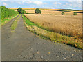 Farm track at Park Leys