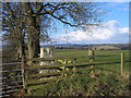 Field corner with nearby trig point