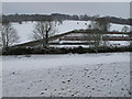 SE6083 : Helmsley Walled Garden in snow by David Hawgood