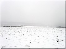 TQ3208 : View Towards Coldean by Simon Carey