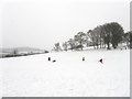 Sunday Sledging