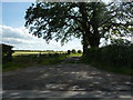 Road to Scotby Ghyll