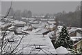 Tiverton : Tidcombe Rooftops